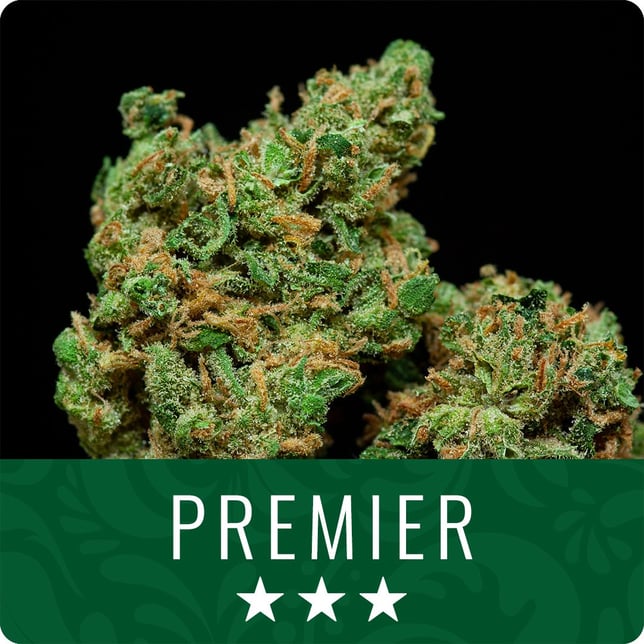 Star Crossed OG - Image 1 Star Crossed OG - Image 1