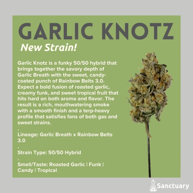 Sanctuary - Garlic Knotz Flower - Image 1