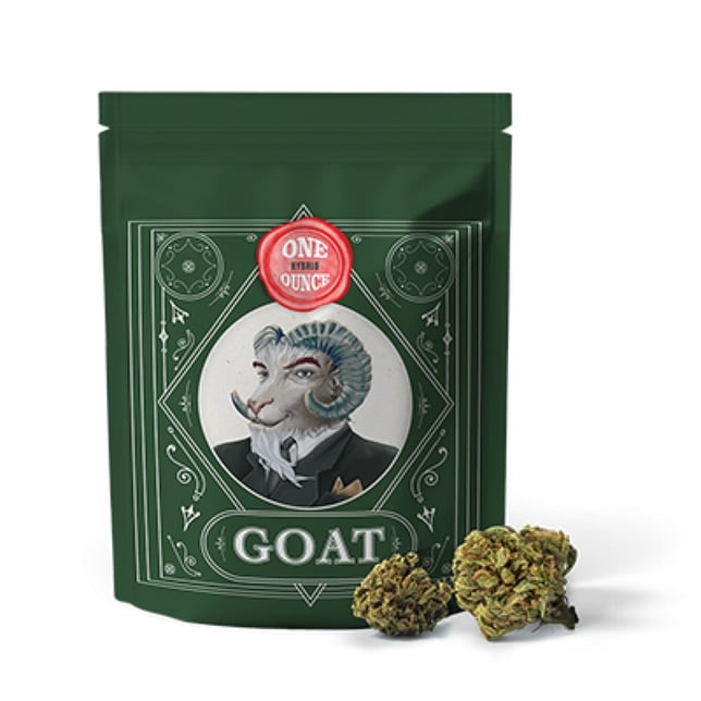 GOAT - Raspberry Parfait Flower - Image 1 GOAT - Raspberry Parfait Flower - Image 1