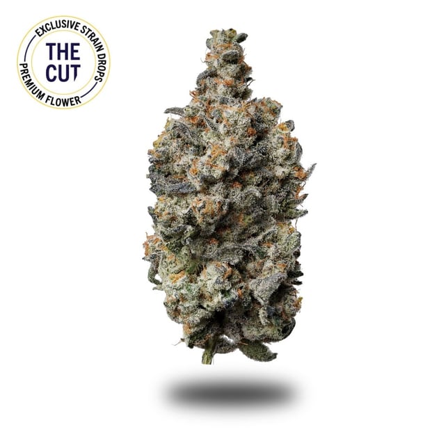 Mile High Mints - Image 1
