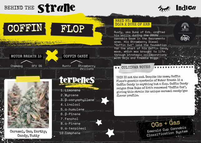 Coffin Flop - Image 2