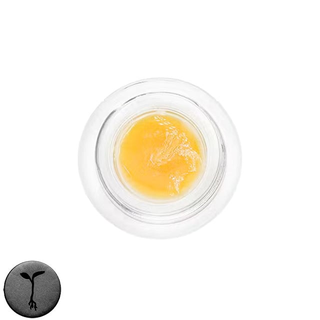 OG Squeeze - Image 1 OG Squeeze - Image 1