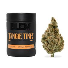 Tangie Ting - Image 1 Tangie Ting - Image 1