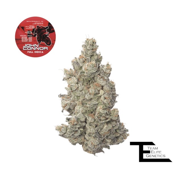 John Connor - Image 1