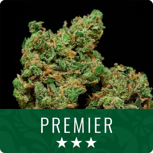 Apple Fritter - Image 1