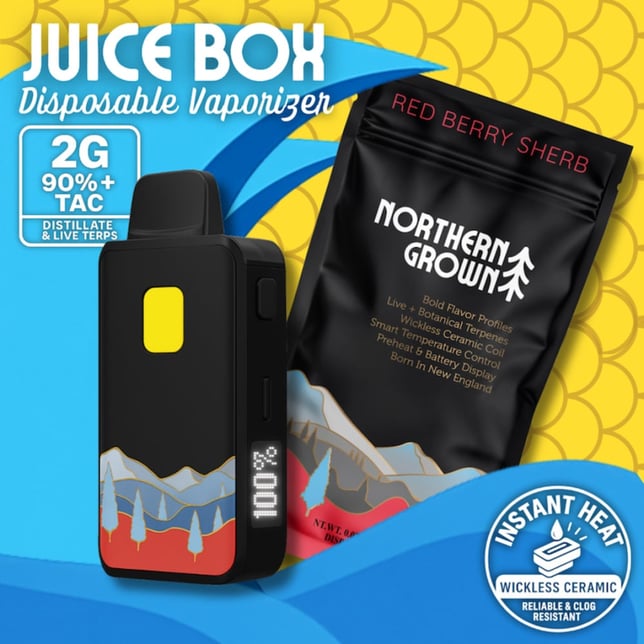 Northern Grown - Red Berry Sherb Juice Box Disposable (2g) - Image 1 Northern Grown - Red Berry Sherb Juice Box Disposable (2g) - Image 1