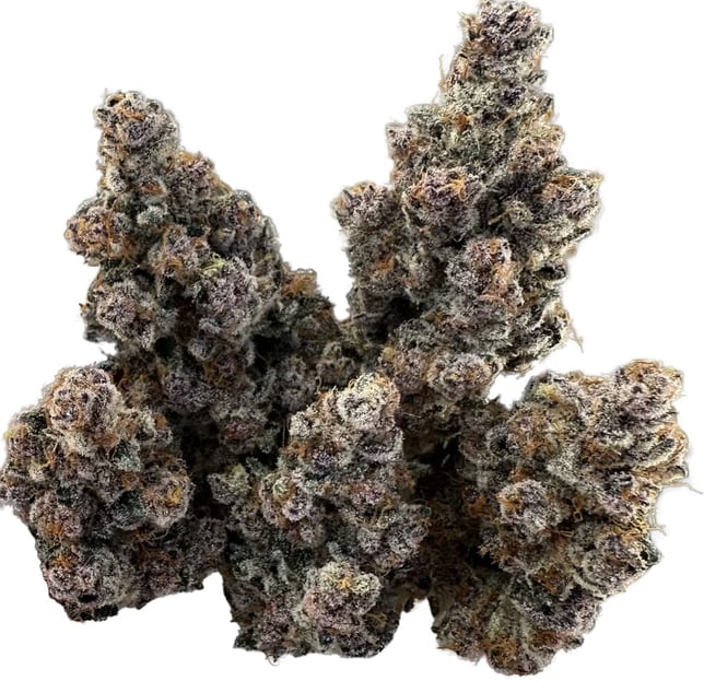 Tropical Infusion - Image 1 Tropical Infusion - Image 1