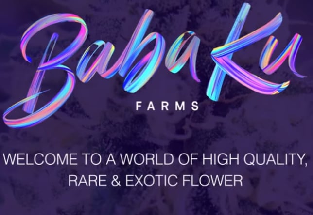 Lemon Royale - Image 1