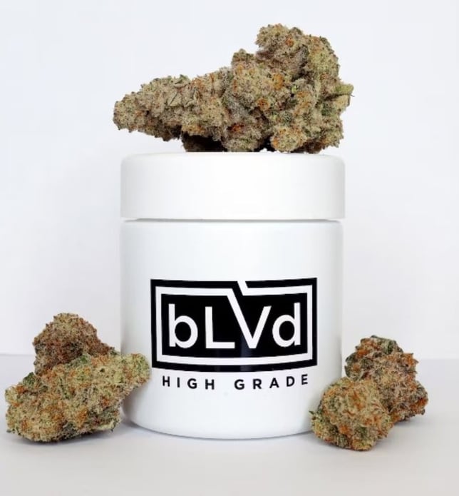 702 Headband - Image 1