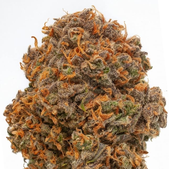 Resinate - Lemon Haze Flower - Image 1 Resinate - Lemon Haze Flower - Image 1