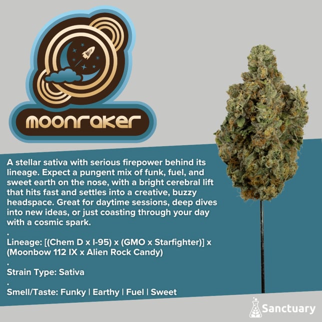 Sanctuary - Moonraker Flower - Image 1 Sanctuary - Moonraker Flower - Image 1