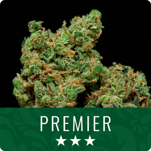 Neon Chimera - Image 1 Neon Chimera - Image 1