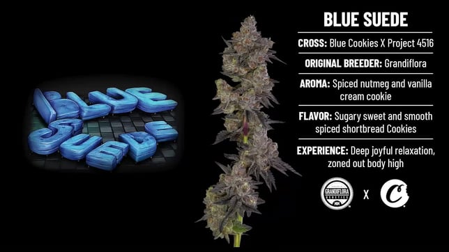 Blue Suede - Image 2