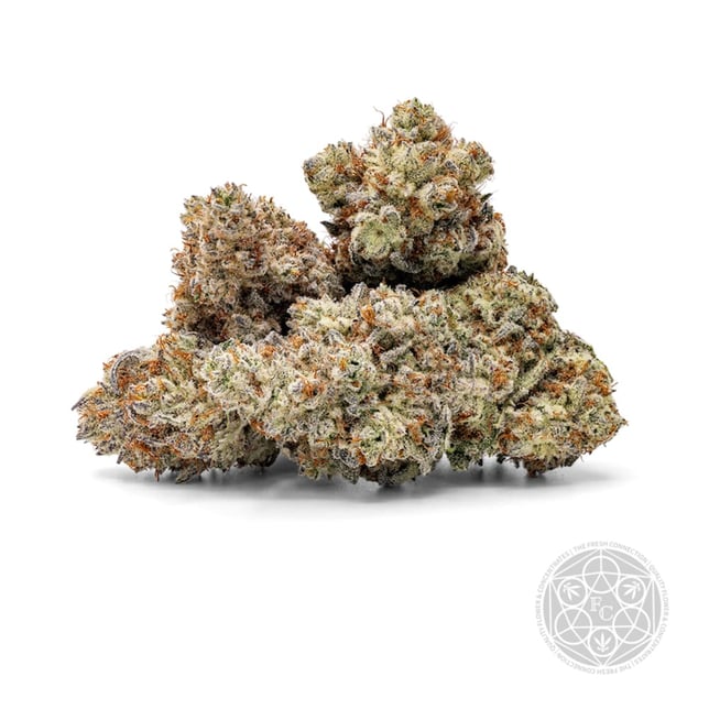 Fresh Connection - Perfect Pair Flower - Image 1 Fresh Connection - Perfect Pair Flower - Image 1