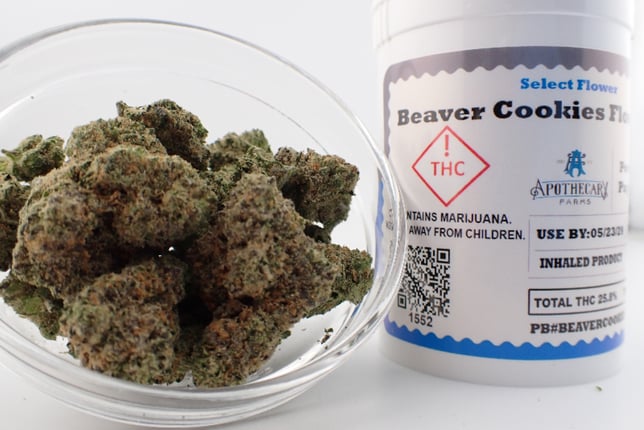 Beaver Cookies - Image 1