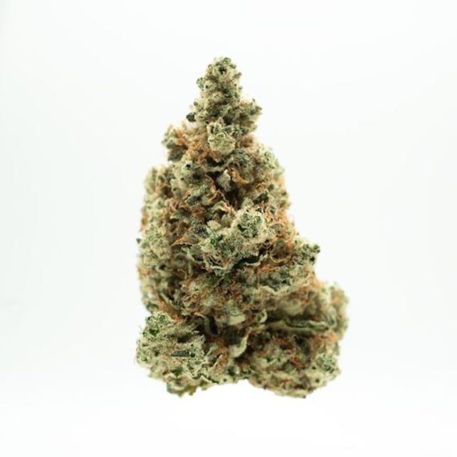 AGL - Outta My Head (H) Flower C0010000535 - Image 1 AGL - Outta My Head (H) Flower C0010000535 - Image 1