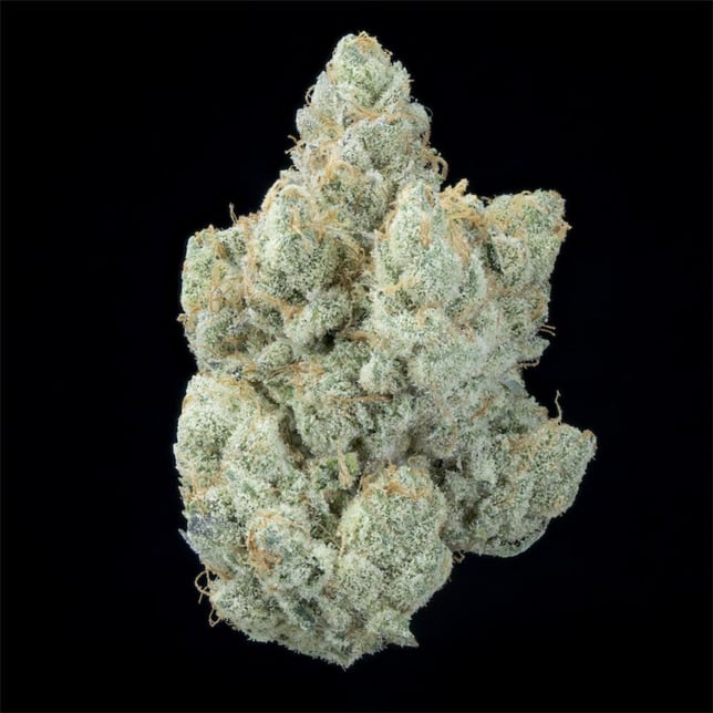 Bountiful Farms - Sugar Shack Flower - Image 1 Bountiful Farms - Sugar Shack Flower - Image 1