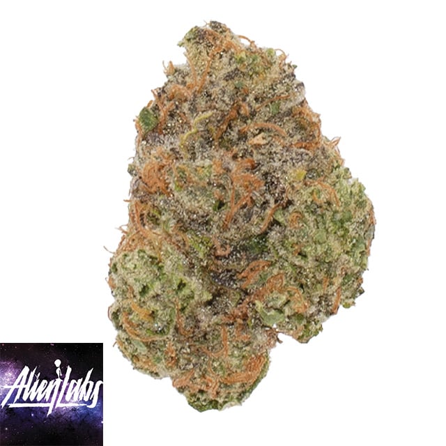 Brainwash - Image 1 Brainwash - Image 1