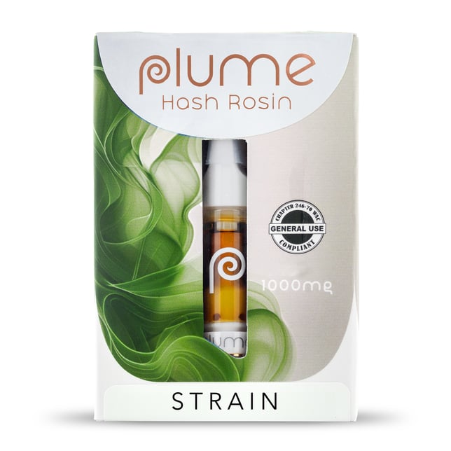 Orange Apricot - Image 1 Orange Apricot - Image 1