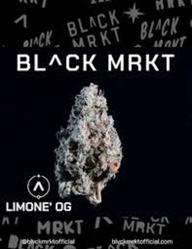 La Forge - Image 1 La Forge - Image 1