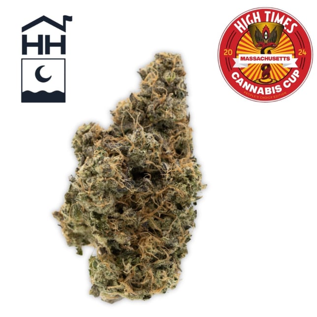 Harbor House Collective - Black Maple Flower - Image 1 Harbor House Collective - Black Maple Flower - Image 1