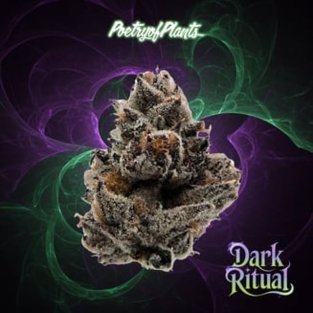 Dark Ritual - Image 1 Dark Ritual - Image 1