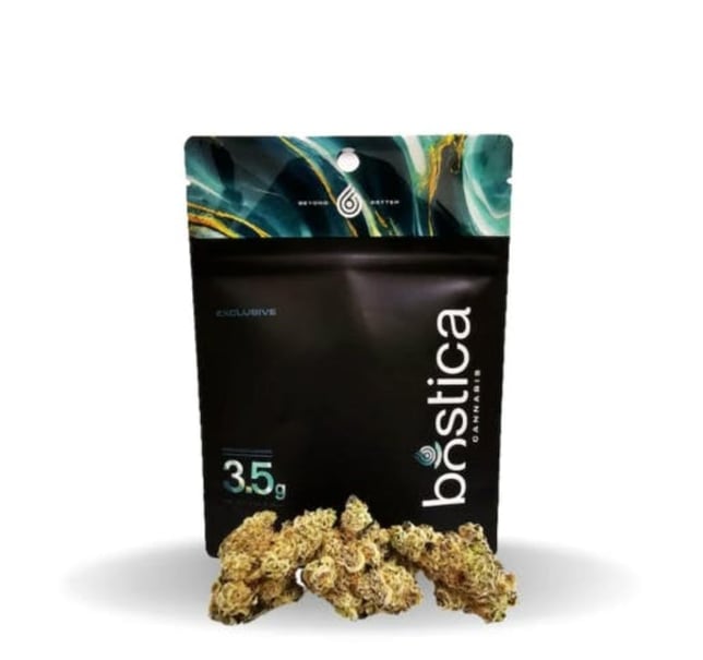 GMO x Rootbeer - Image 1 GMO x Rootbeer - Image 1