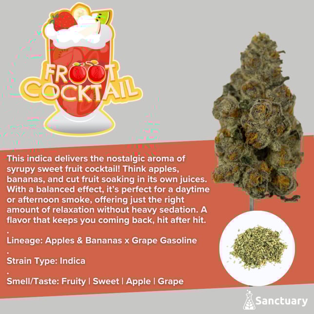 Sanctuary - Froot Cocktail Shake - Image 1 Sanctuary - Froot Cocktail Shake - Image 1