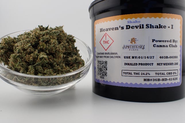 Heaven's Devil - Image 1