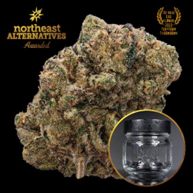 NEA Awarded - Kine Garlic Tsunami Flower - Image 1 NEA Awarded - Kine Garlic Tsunami Flower - Image 1