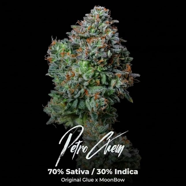 Petro Chem - Image 1 Petro Chem - Image 1