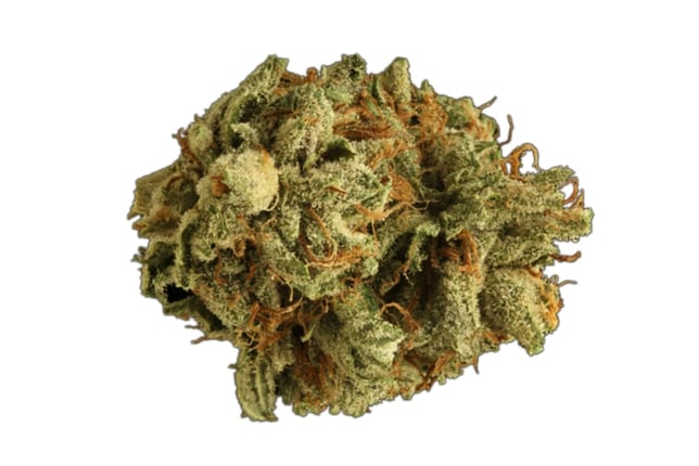 GMO - Image 1 GMO - Image 1