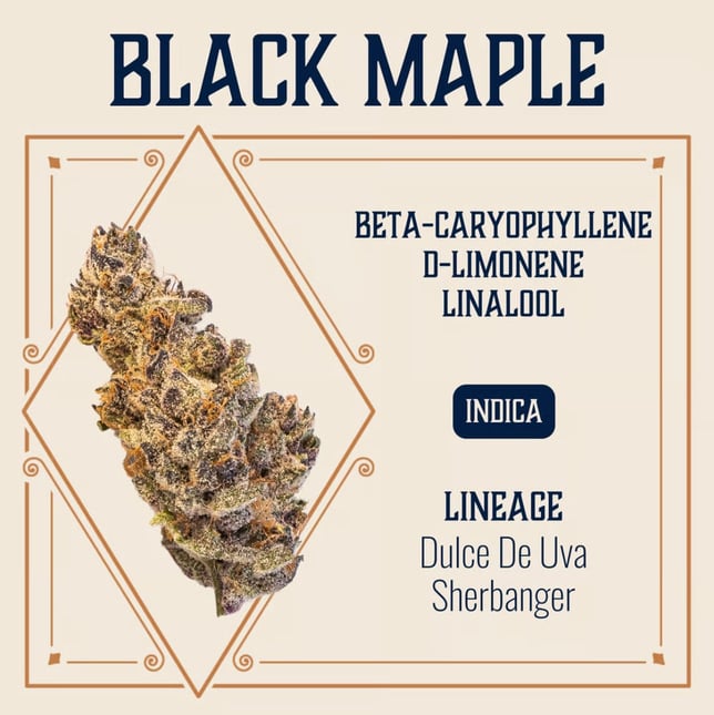 Black Maple - Image 1