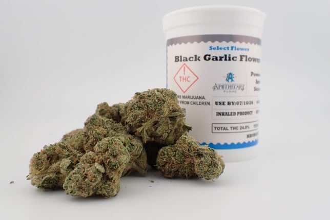Black Garlic - Image 1