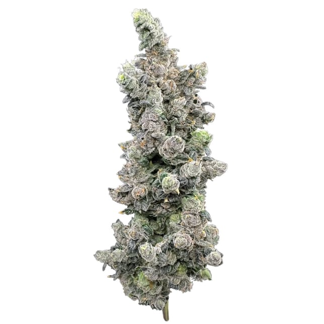 Trifecta Farms - Vanilla Zoap Flower - Image 1 Trifecta Farms - Vanilla Zoap Flower - Image 1