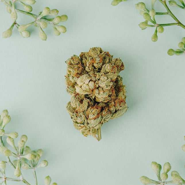 SFV OG - Image 1 SFV OG - Image 1