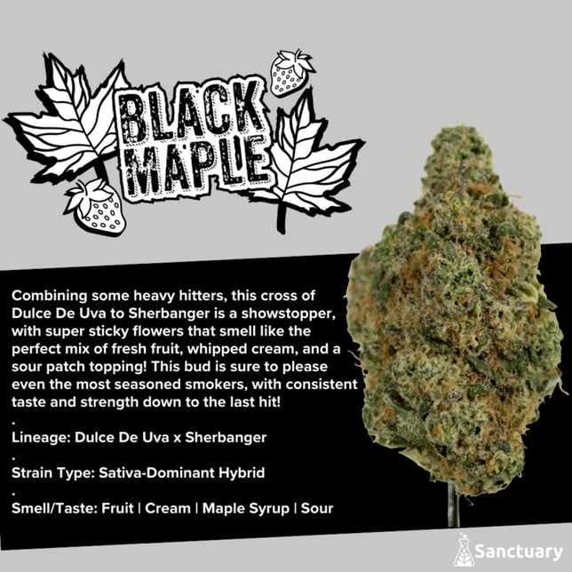 Sanctuary - Black Maple Flower - Image 1 Sanctuary - Black Maple Flower - Image 1