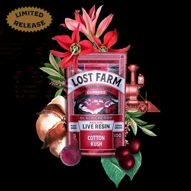 KIVA Lost Farm - Cotton Kush x Black Cherry (100mg 20pk) - Image 1 KIVA Lost Farm - Cotton Kush x Black Cherry (100mg 20pk) - Image 1