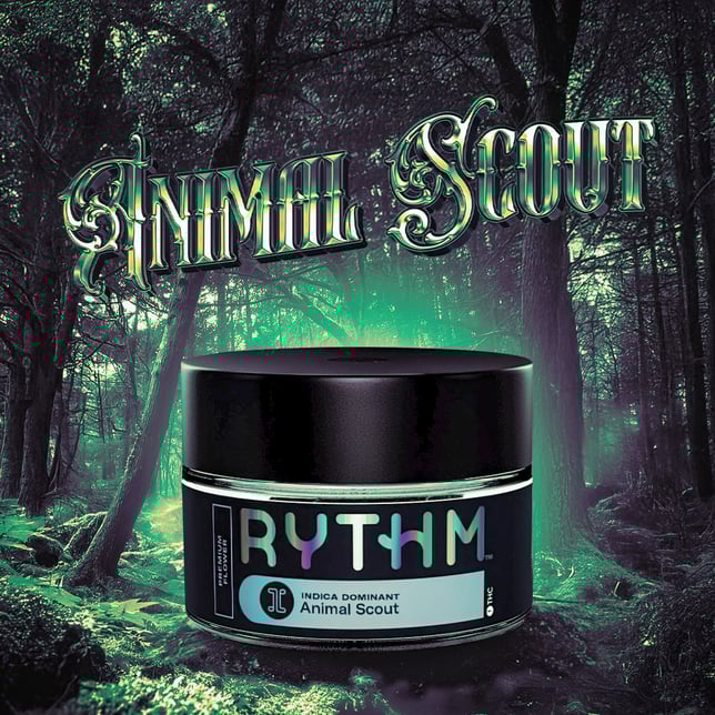 Animal Scout - Image 1 Animal Scout - Image 1