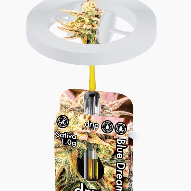 Blue Dream - Image 1 Blue Dream - Image 1