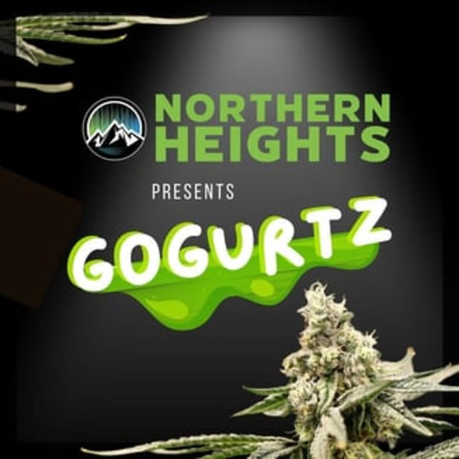 Gogurtz - Image 1 Gogurtz - Image 1
