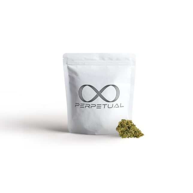 Perpetual - Say Less Flower - Image 1 Perpetual - Say Less Flower - Image 1