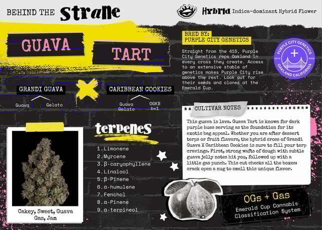 Guava Tart - Image 3 Guava Tart - Image 3