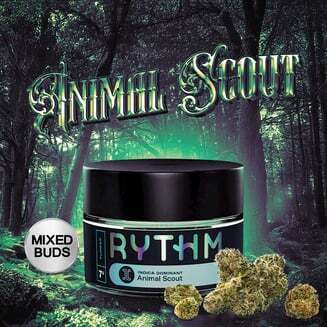 Animal Scout - Image 1