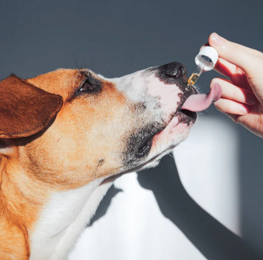 Pleasant Pet CBD - Image 4