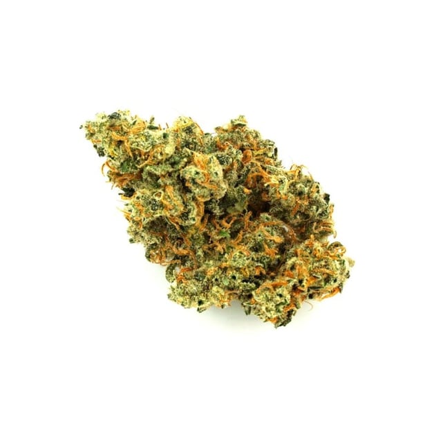 Budhaus - Ghost Train Haze Flower - Image 1 Budhaus - Ghost Train Haze Flower - Image 1