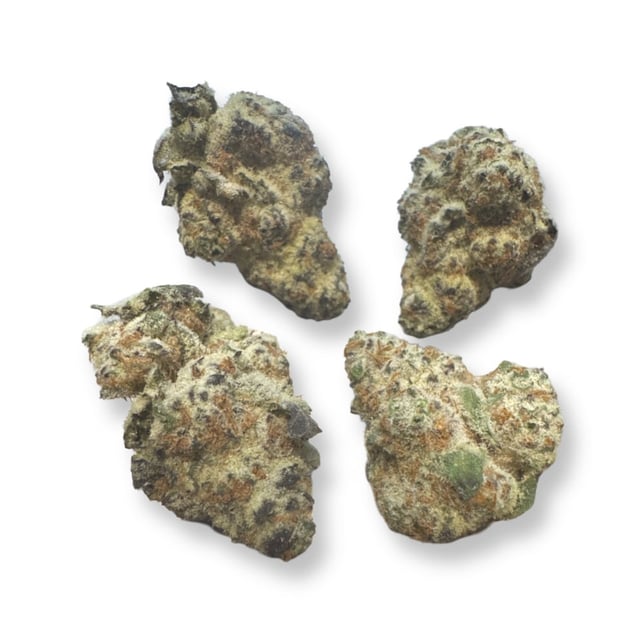 Dante's Wrath - Image 1 Dante's Wrath - Image 1