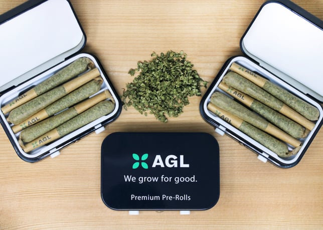 AGL 5 Pack Minis Indicol GCC 21802 - Image 1 AGL 5 Pack Minis Indicol GCC 21802 - Image 1