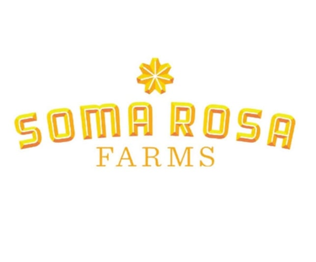 Lemon Sponge Cake [1g] - Image 1