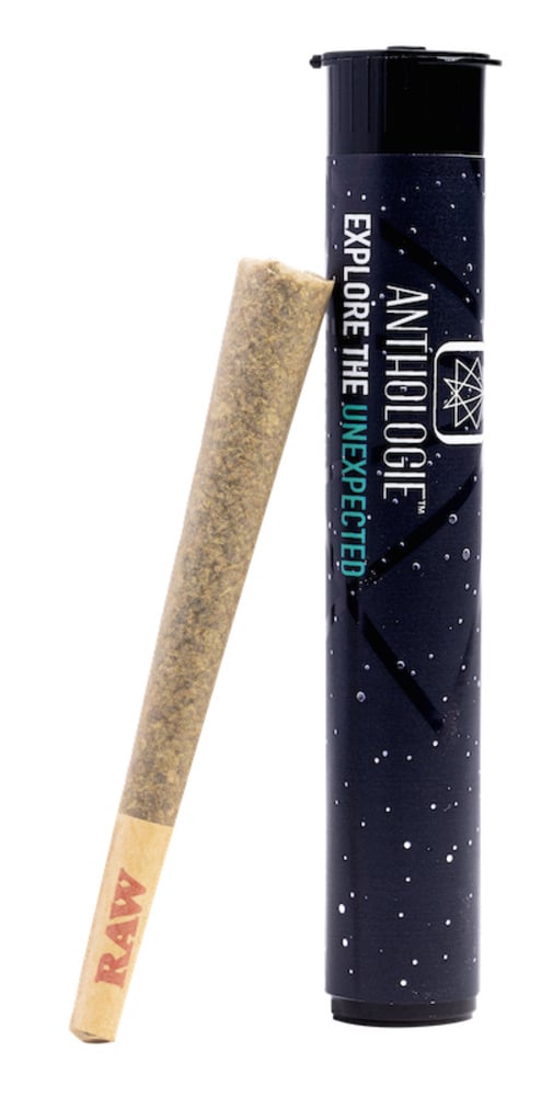 Anthologie - Acid Dough Pre-Roll (1g) - Image 1 Anthologie - Acid Dough Pre-Roll (1g) - Image 1